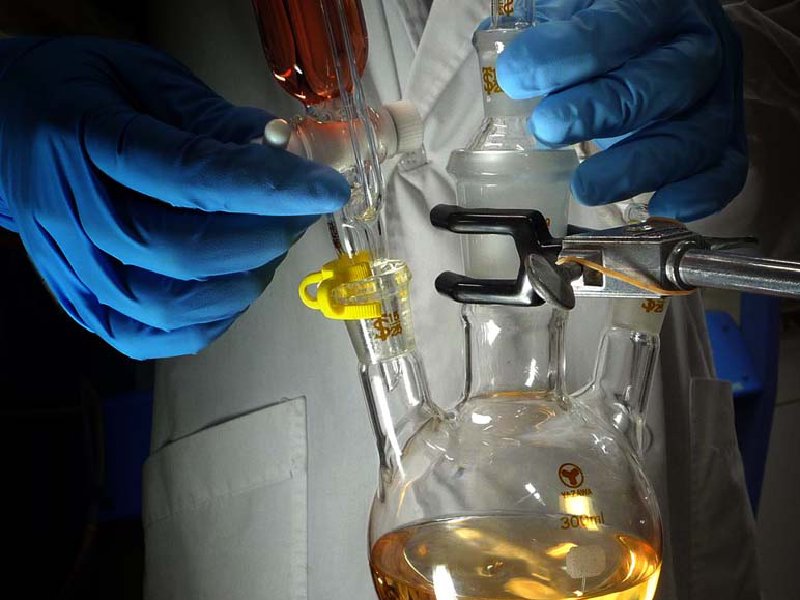 機能有機化学研究室