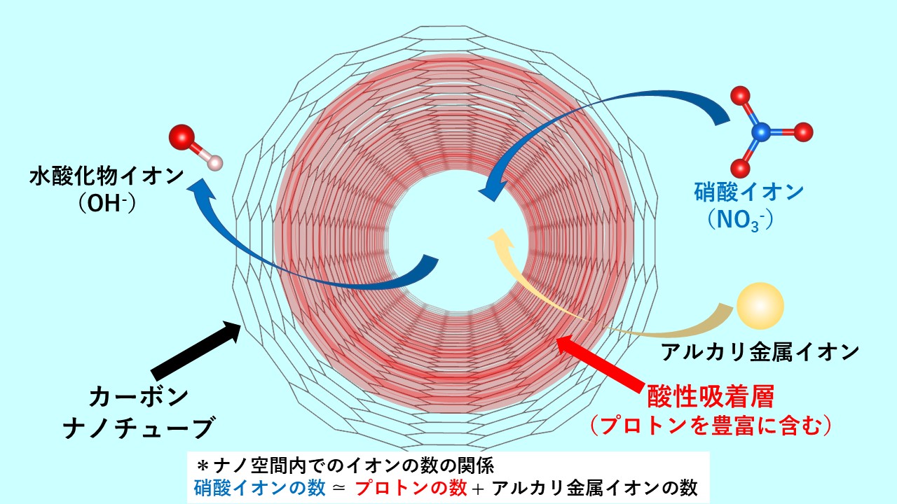 炭素ナノ空間で起こる酸と塩基のふしぎ